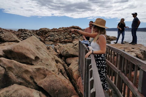 Margaret River Impression Day Tour From Perth - Holiday Adelaide 4