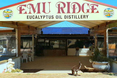 2-Day Kangaroo Island Safari From Adelaide - Holiday Adelaide 4