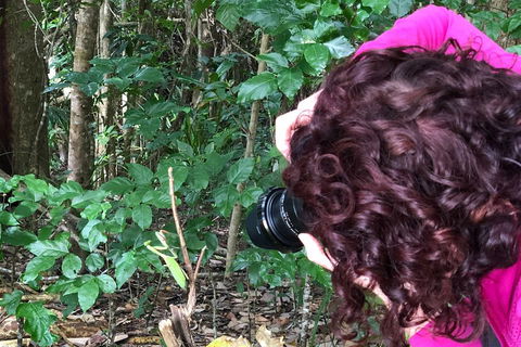 Let's Go Buggin & Let's Go Shroomin - Photography & Nature Walking Tours - Holiday Adelaide 1