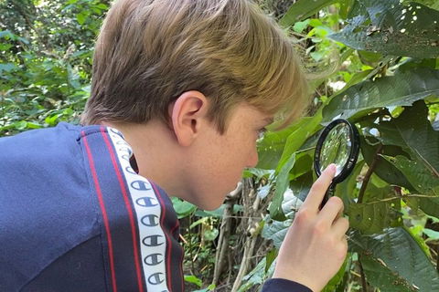 Let's Go Buggin & Let's Go Shroomin - Photography & Nature Walking Tours - Holiday Adelaide 3