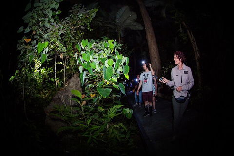 Let's Go Buggin & Let's Go Shroomin - Photography & Nature Walking Tours - Holiday Adelaide 4