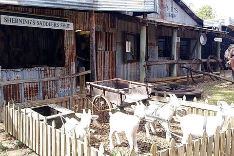 Full Day Atherton Tablelands Tour From Cairns - Holiday Adelaide 4