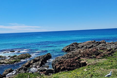 Private Custom Byron Bay Day Out - Holiday Adelaide 4