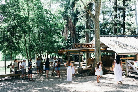 Tropical Fruit World Farm Full Tour - Holiday Adelaide 3