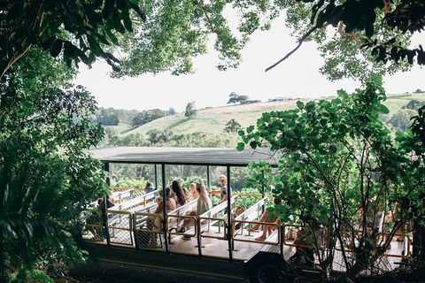 Tropical Fruit World Farm Full Tour - Holiday Adelaide 4