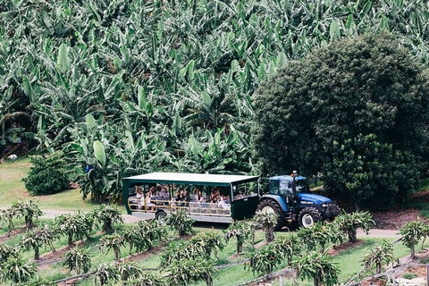 Tropical Fruit World Farm Full Tour - Holiday Adelaide 5