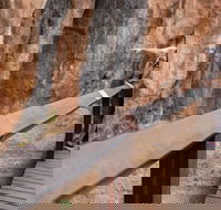 Chillagoe Caves and Outback Day Trip from Cairns - Holiday Adelaide
