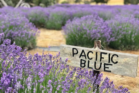 Kangaroo Island Food And Wine Trail Tour - Holiday Adelaide 0