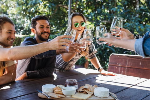 Full-day Wine-Tasting And Tamborine Mountain Tour With Lunch - Holiday Adelaide 0