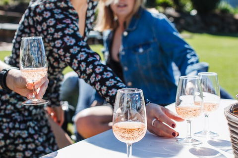 Full-day Wine-Tasting And Tamborine Mountain Tour With Lunch - Holiday Adelaide 1