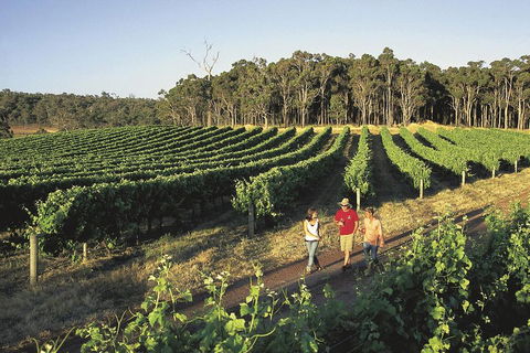 Margaret River, Caves, Wine And Cape Leeuwin Lighthouse Tour From Perth - Holiday Adelaide 1