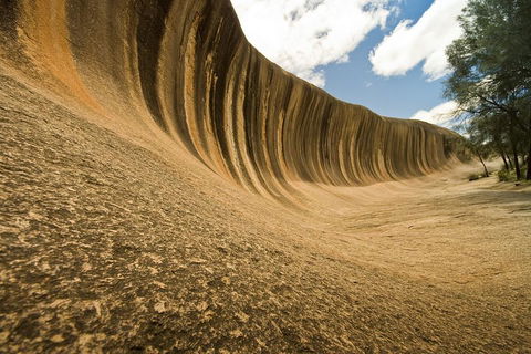 Wave Rock, York, Wildflowers, And Aboriginal Cultural Day Tour From Perth - Holiday Adelaide 0