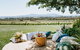 Yarra Valley Premium Tour Lunch And Sparkling Wine Tasting At Domaine Chandon - thumb 4