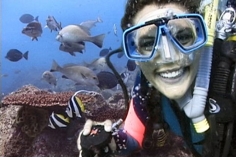 3-Hour Byron Bay Certified Scuba Diving Tour - Holiday Adelaide 5