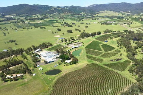 Helicopter Tour Of Hunter Valley In New South Wales With Lunch - Holiday Adelaide 4