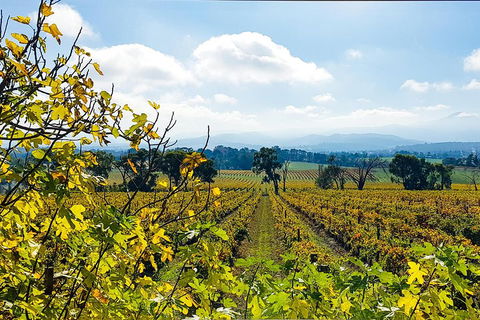 Yarra Valley Wine & Food Tour Departing From Melbourne - Holiday Adelaide 4