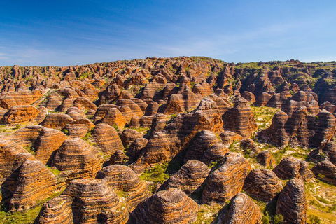 Bungle Bungle Explorer - Holiday Adelaide 1