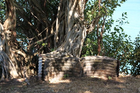 Darwin Walking Tour: World War II Reflections - Holiday Adelaide 3