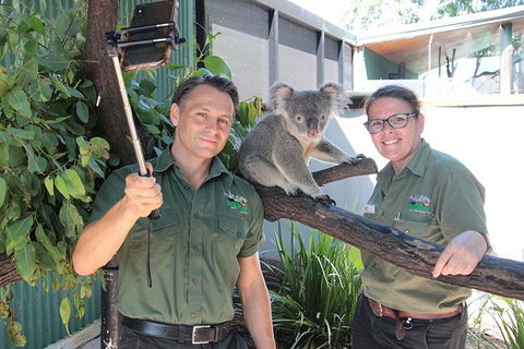Virtual Interactive Australian Wildlife Tour With Private Guide-Wildlife Habitat - Holiday Adelaide 0