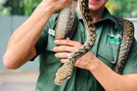 Virtual Interactive Australian Wildlife Tour With Private Guide-Wildlife Habitat - Holiday Adelaide 1