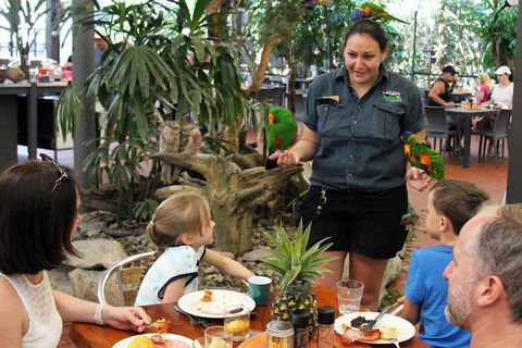 Wildlife Habitat Port Douglas - Holiday Adelaide 2