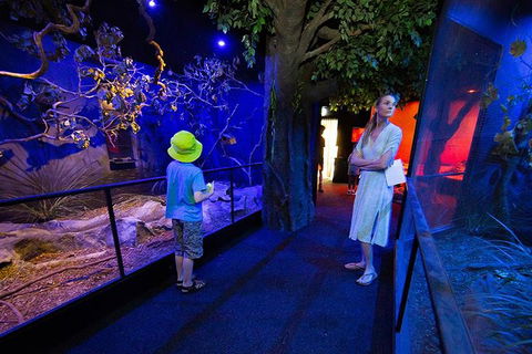Wildlife Habitat Port Douglas - Holiday Adelaide 4