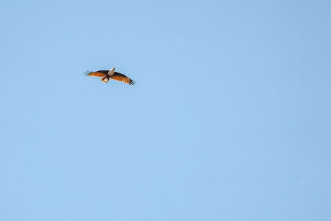 North Stradbroke Island Day Trip From Brisbane - Holiday Adelaide 4