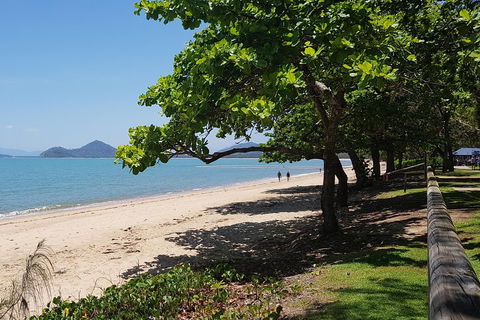 Small-Group Afternoon Cairns City Tour With Harbour Dinner Cruise - Holiday Adelaide 1