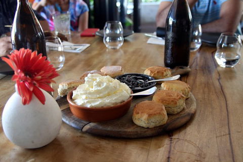 Small-Group Afternoon Cairns City Tour With Harbour Dinner Cruise - Holiday Adelaide 3