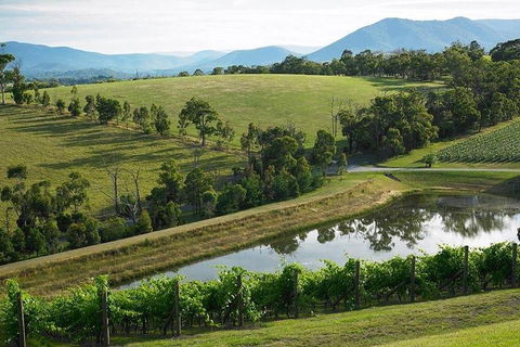 Yarra Valley Wine And Cider Tours By Classic Convertibles From Melbourne - Holiday Adelaide 1
