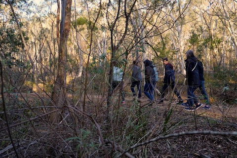 Wild Australian Wildlife 4WD Tour From Sydney - Holiday Adelaide 0