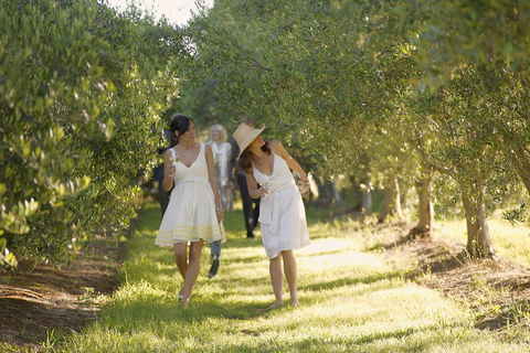 Yarra Valley Wine Tour With Local Harvest Tastings From Melbourne - Holiday Adelaide 0