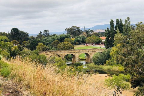 Day Tour In Mt. Field, Mt. Wellington, Bonorong Wildlife Sanctuary And Richmond - Holiday Adelaide 3