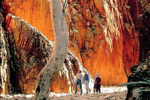 West MacDonnell Ranges Day Trip From Alice Springs - Holiday Adelaide 3