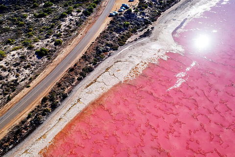 7-Day Exmouth Explorer Via Pinnacles Monkey Mia Ningaloo Reef Returning To Perth - Holiday Adelaide 0
