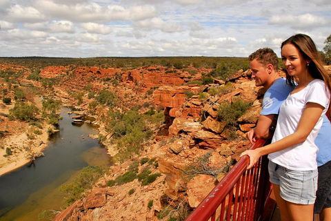 4-Day Coastal Loop Via Monkey Mia Wild Dolphins Kalbarri Pinnacles Perth Return - Holiday Adelaide 3