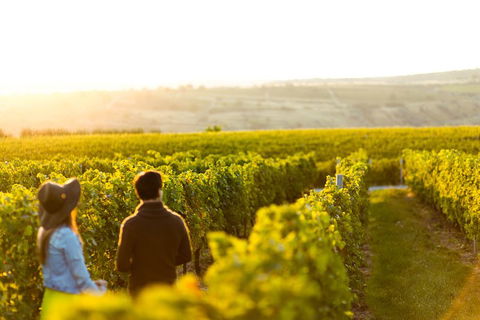 Margaret River Private Tour - Holiday Adelaide 2