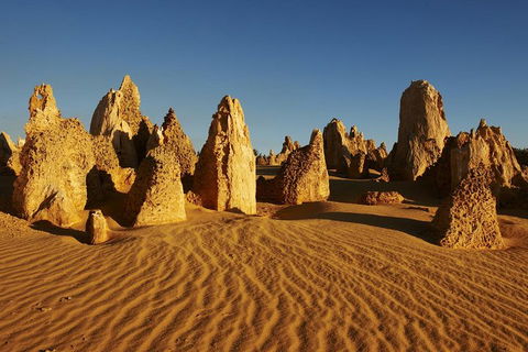 Pinnacles Day Trip From Perth Including Yanchep National Park - Holiday Adelaide 5