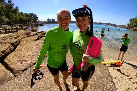 Manly Snorkel Trip And Nature Walk With Local Guide - Holiday Adelaide 1