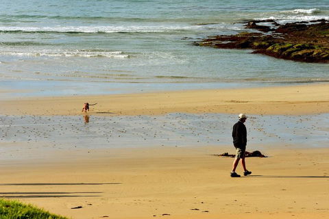 Ultimate Reverse Direction - 12 Apostles, Great Ocean Road - Small Group Tour - Holiday Adelaide 1