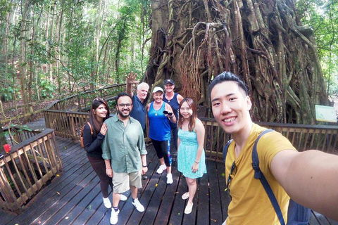 Barron Gorge And Kuranda National Park Half Day Rainforest And Waterfall 4WD Tour From Cairns - Holiday Adelaide 5