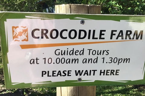 Cairns City Tour - Holiday Adelaide 5