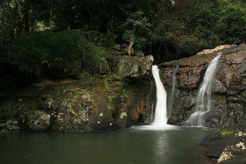 Hinterland Magic & Glow-worm Experience - Holiday Adelaide 2