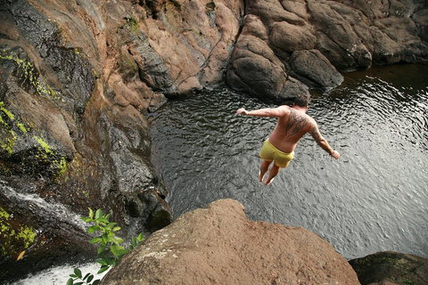 Hinterland Magic & Glow-worm Experience - Holiday Adelaide 3