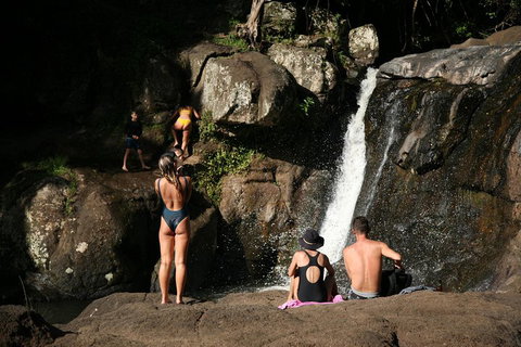 Hinterland Magic & Glow-worm Experience - Holiday Adelaide 5