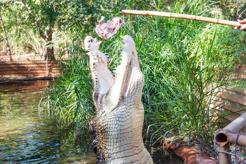 3 In 1 Tour: Matsoâ€™s Brewery, Broome Museum & Malcolm Douglas Crocodile Park - Holiday Adelaide 3