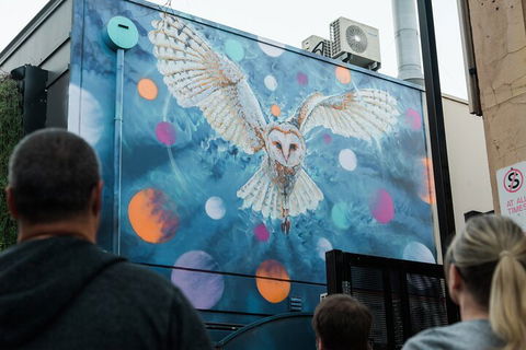 Jimmy C Street Art Walking Tour - Holiday Adelaide 1