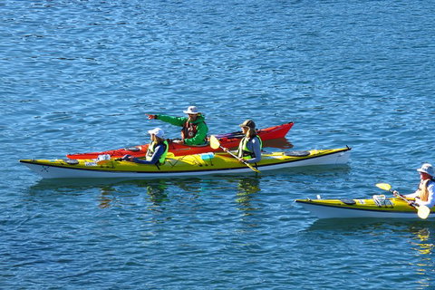 Half-Day Sydney Middle Harbour Guided Kayaking Eco Tour - Holiday Adelaide 0