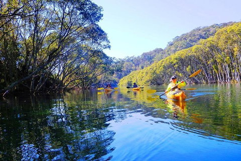 Half-Day Sydney Middle Harbour Guided Kayaking Eco Tour - Holiday Adelaide 1