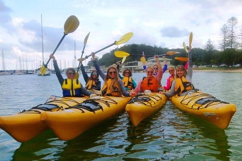 Half-Day Sydney Middle Harbour Guided Kayaking Eco Tour - Holiday Adelaide 2